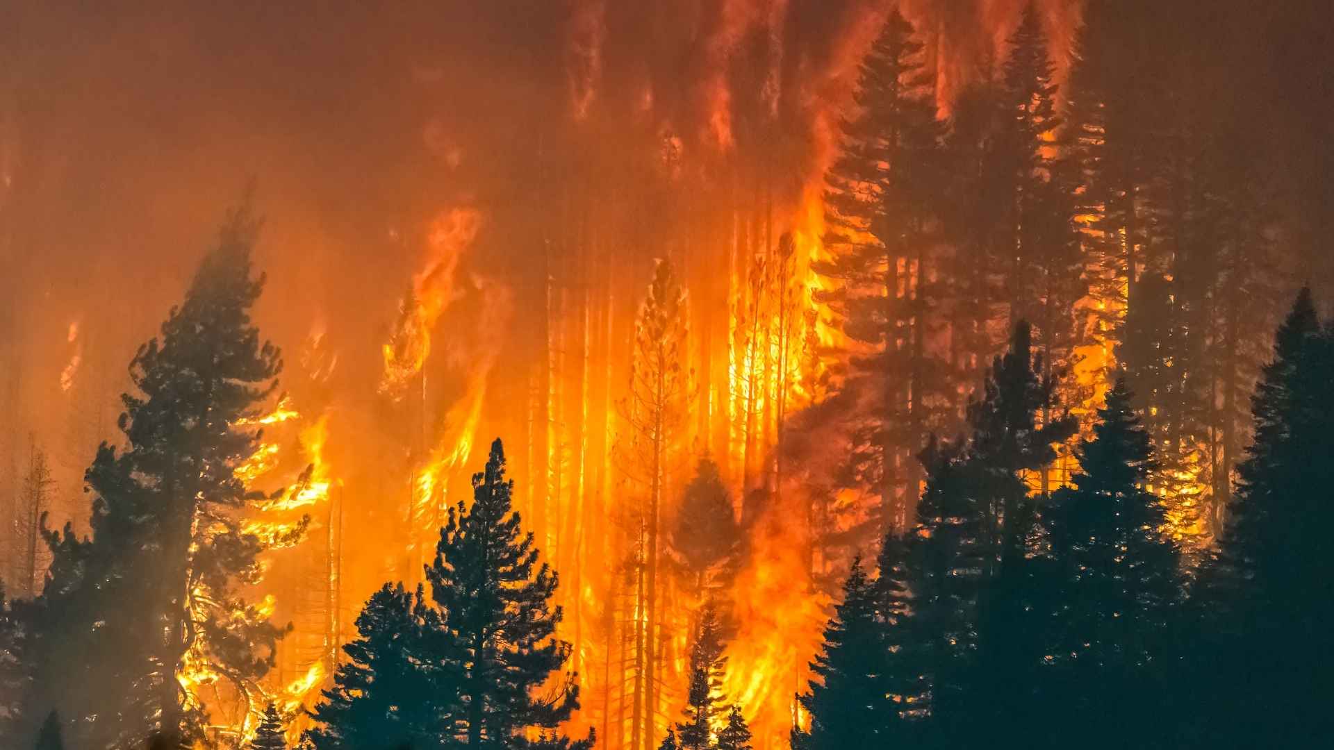 Dopo l’incendio serve una valutazione tecnica degli effetti sul territorio